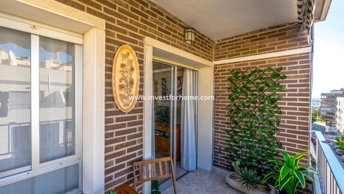 Verkoop - Appartement - Torrevieja - Centro