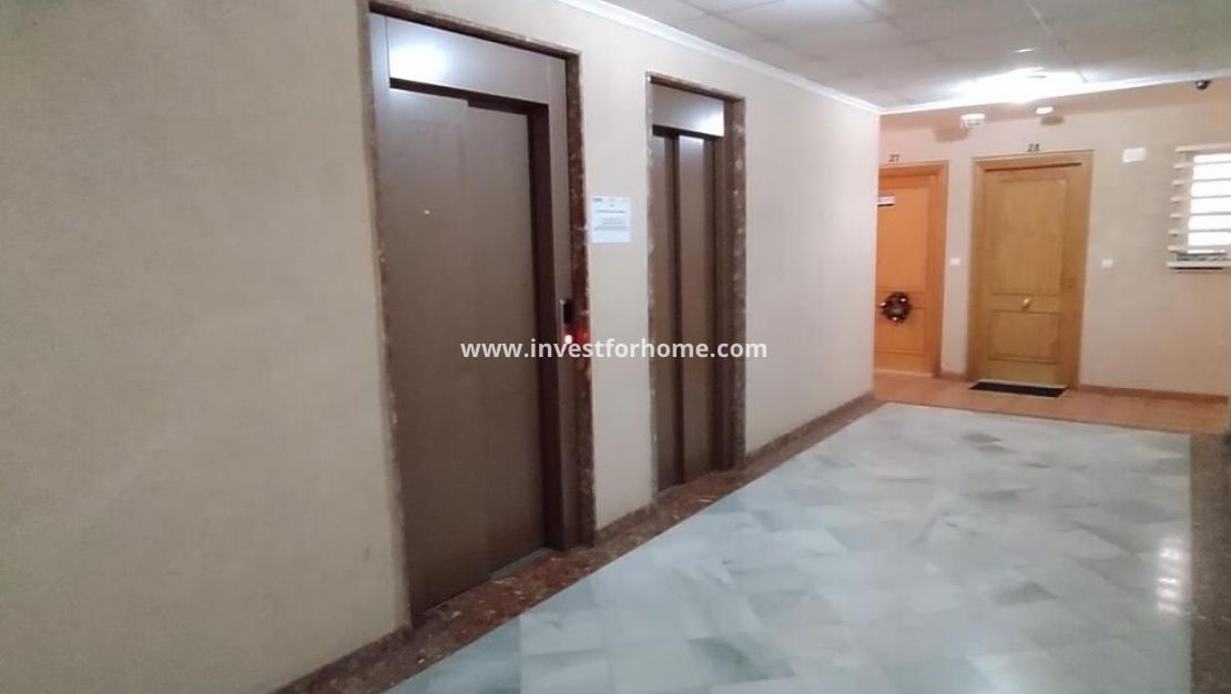 Verkoop - Appartement - Torrevieja - Centro