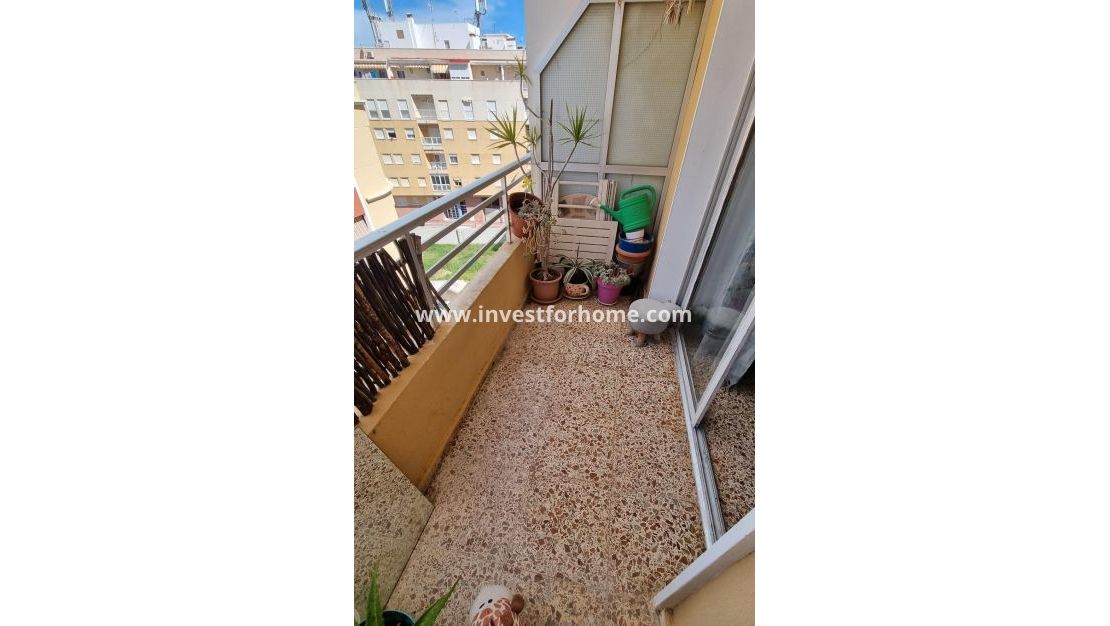 Verkoop - Appartement - Torrevieja - Centro