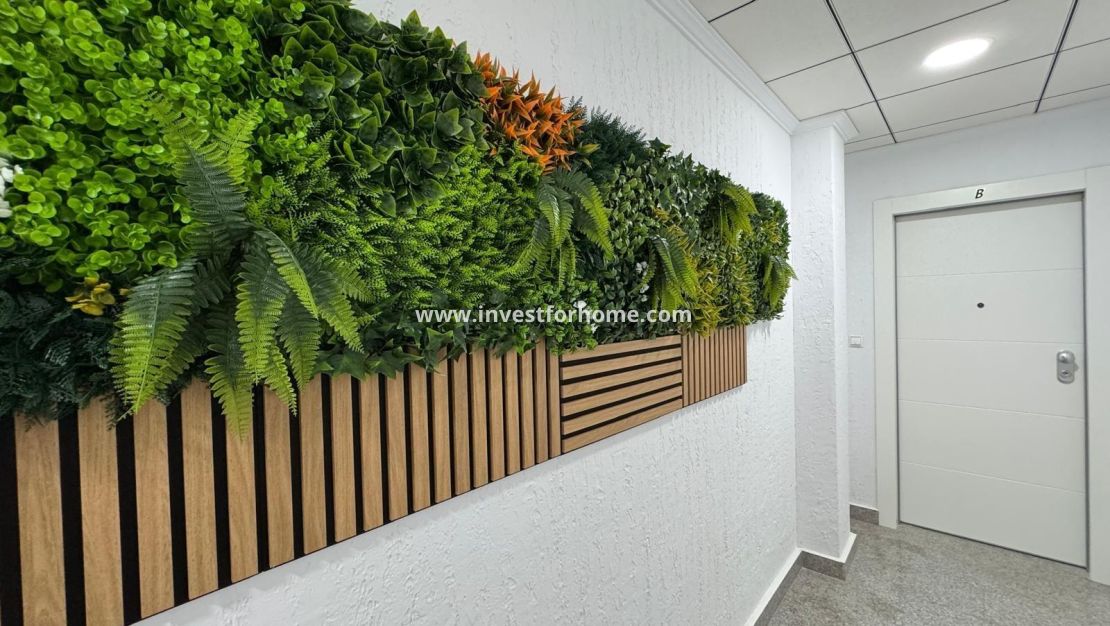 Verkoop - Appartement - Torrevieja - Centro