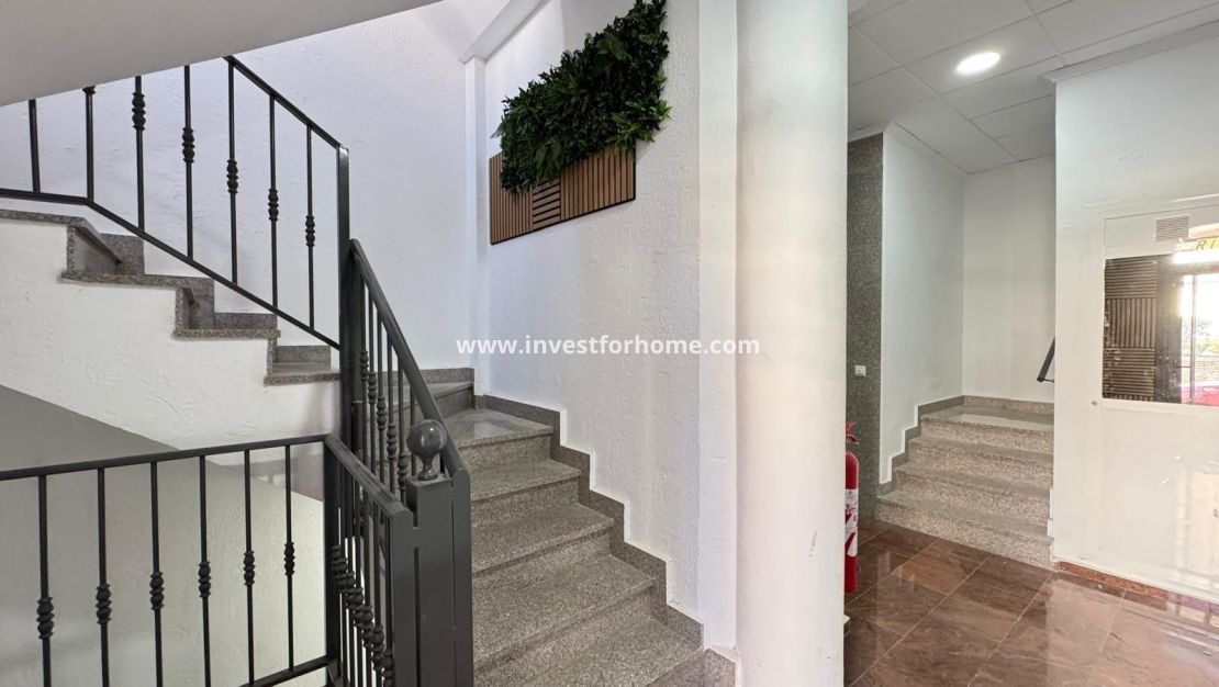 Verkoop - Appartement - Torrevieja - Centro