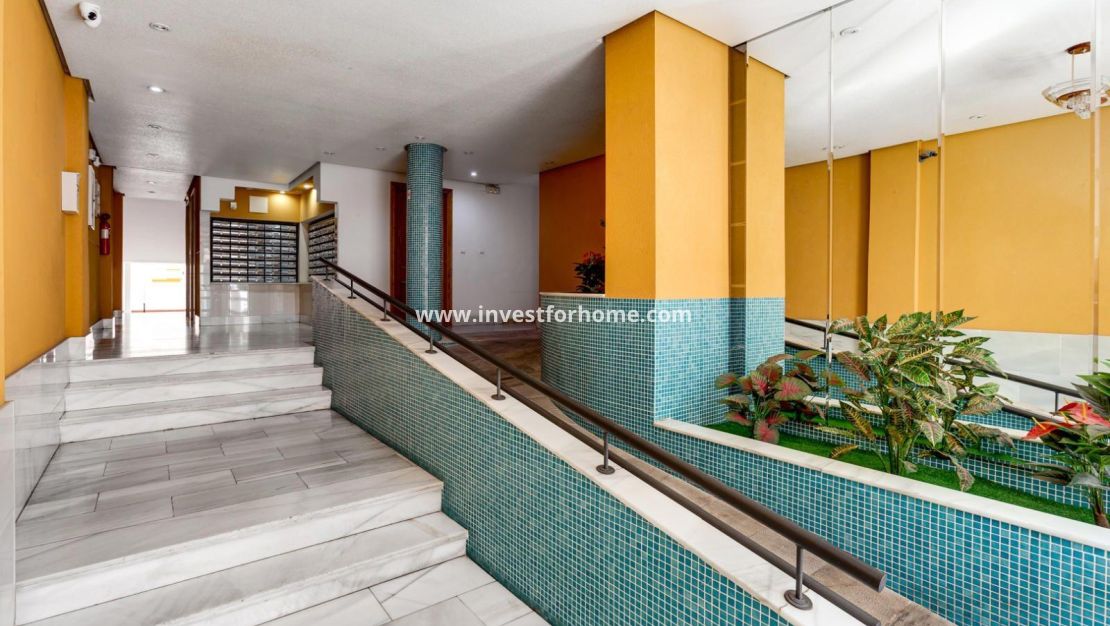 Verkoop - Appartement - Torrevieja - Centro