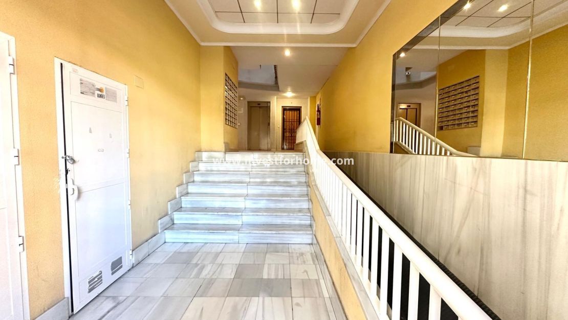 Verkoop - Appartement - Torrevieja - Centro