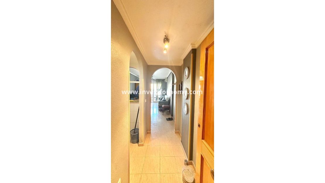 Verkoop - Appartement - Torrevieja - Centro