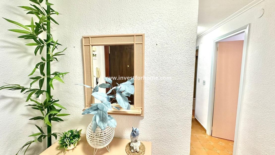 Verkoop - Appartement - Torrevieja - Centro