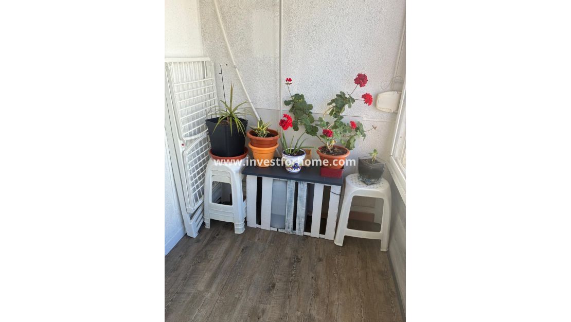 Verkoop - Appartement - Torrevieja - Centro