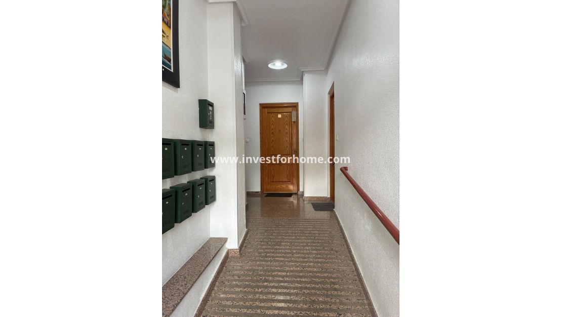 Verkoop - Appartement - Torrevieja - Centro