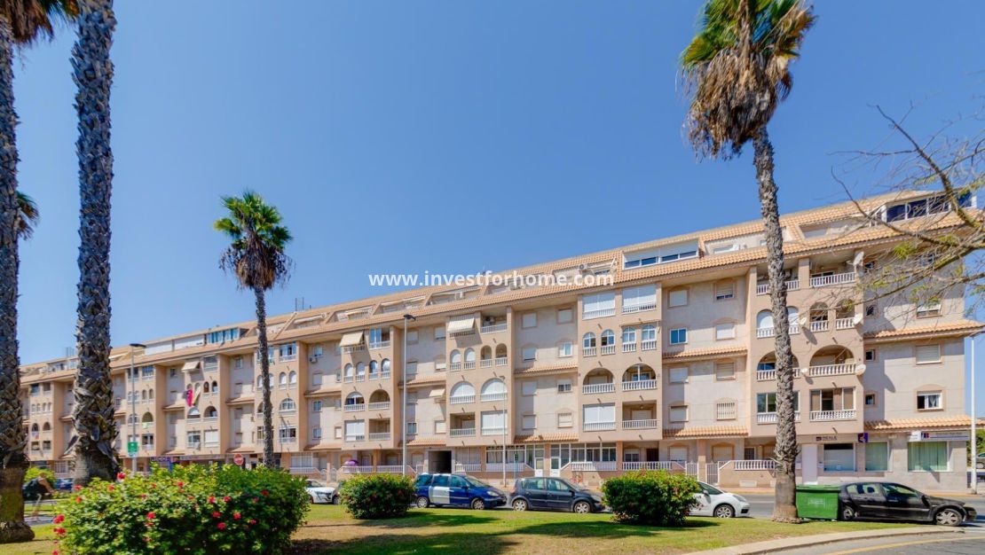 Verkoop - Appartement - Torrevieja - Centro