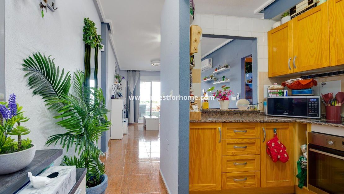 Verkoop - Appartement - Torrevieja - Centro