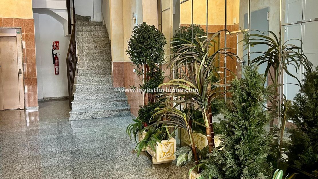 Verkoop - Appartement - Torrevieja - Centro