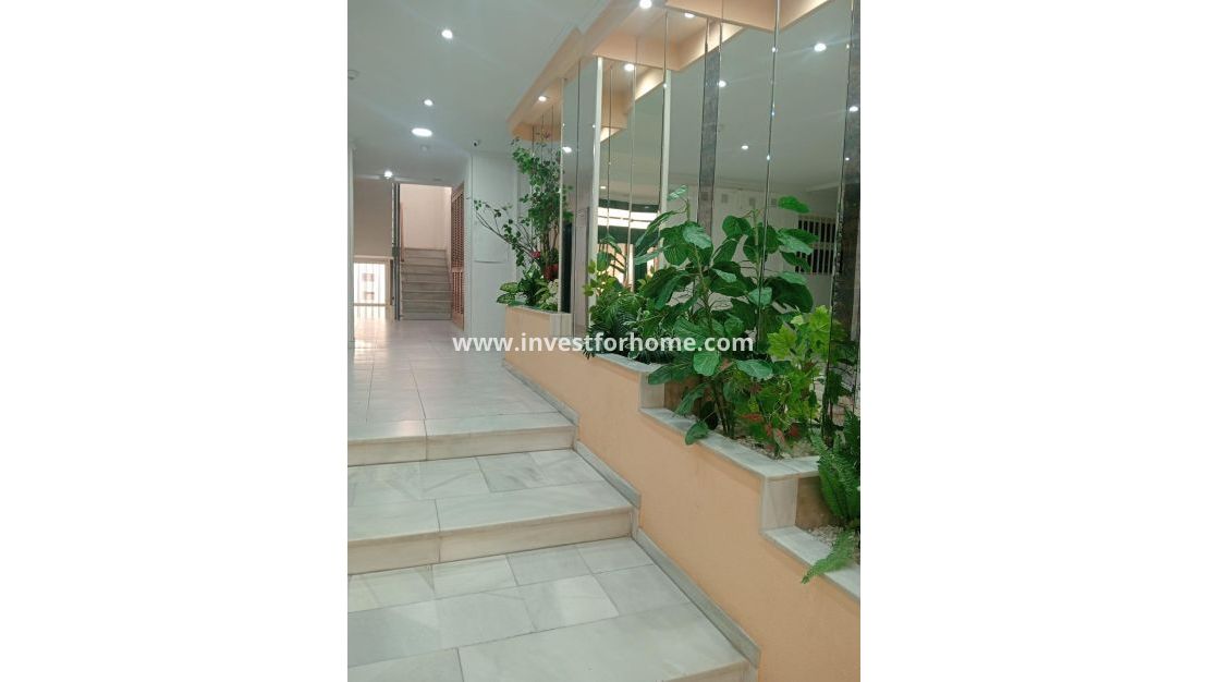 Verkoop - Appartement - Torrevieja - Centro