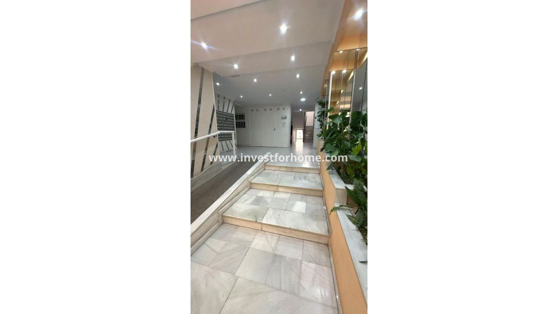 Verkoop - Appartement - Torrevieja - Centro
