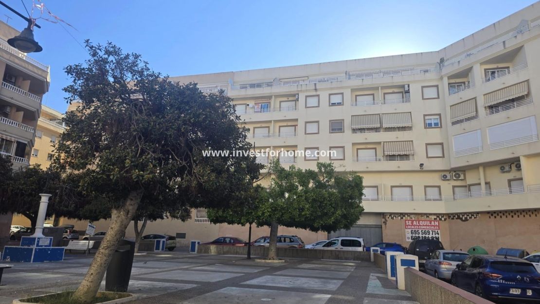 Verkoop - Appartement - Torrevieja - Centro