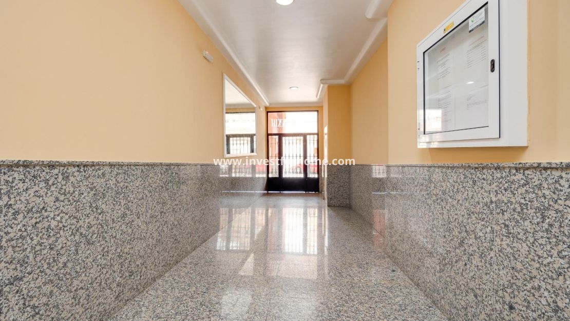 Verkoop - Appartement - Torrevieja - Centro