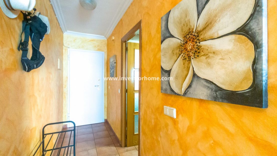 Verkoop - Appartement - Torrevieja - Centro
