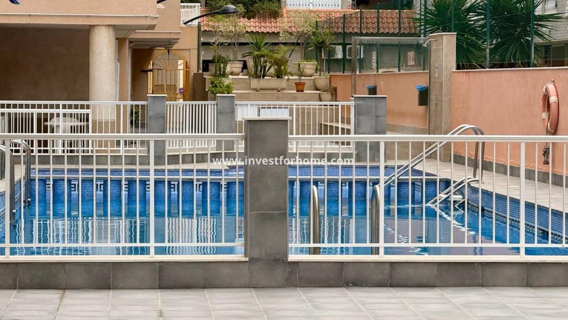 Verkoop - Appartement - Torrevieja - Centro
