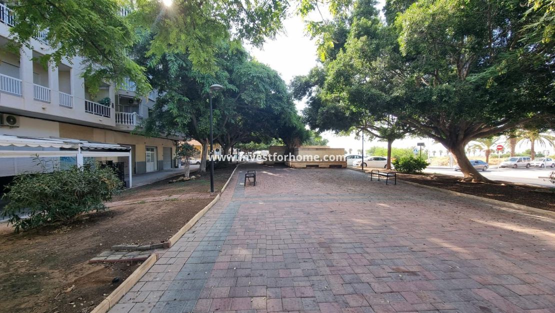 Verkoop - Appartement - Torrevieja - Centro