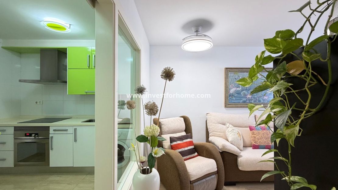 Verkoop - Appartement - Torrevieja - Centro