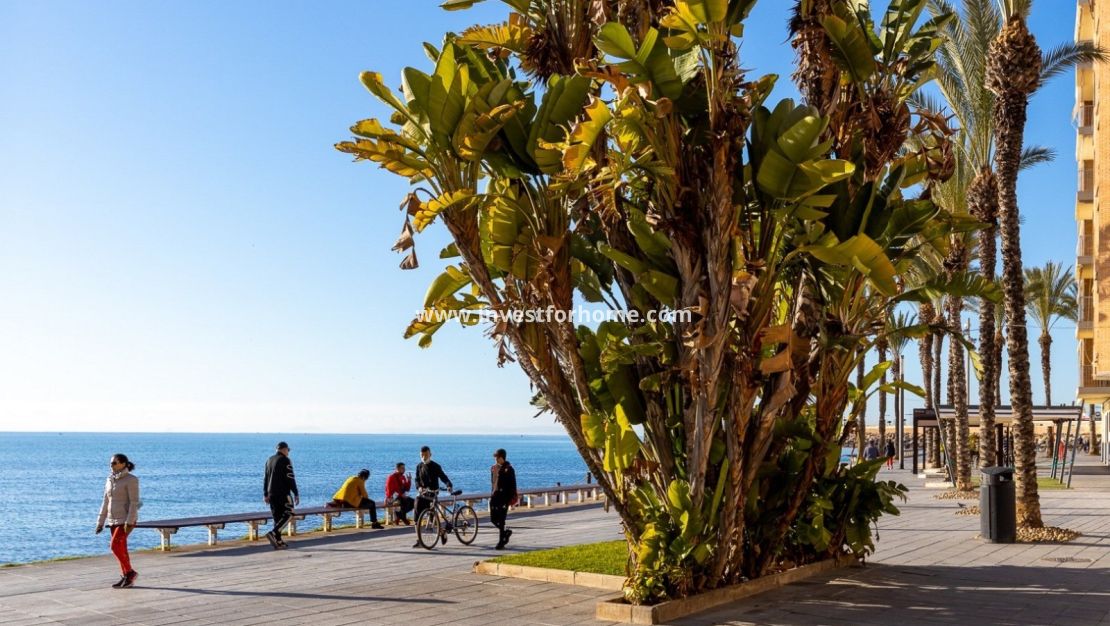 Verkoop - Appartement - Torrevieja - Costa Blanca