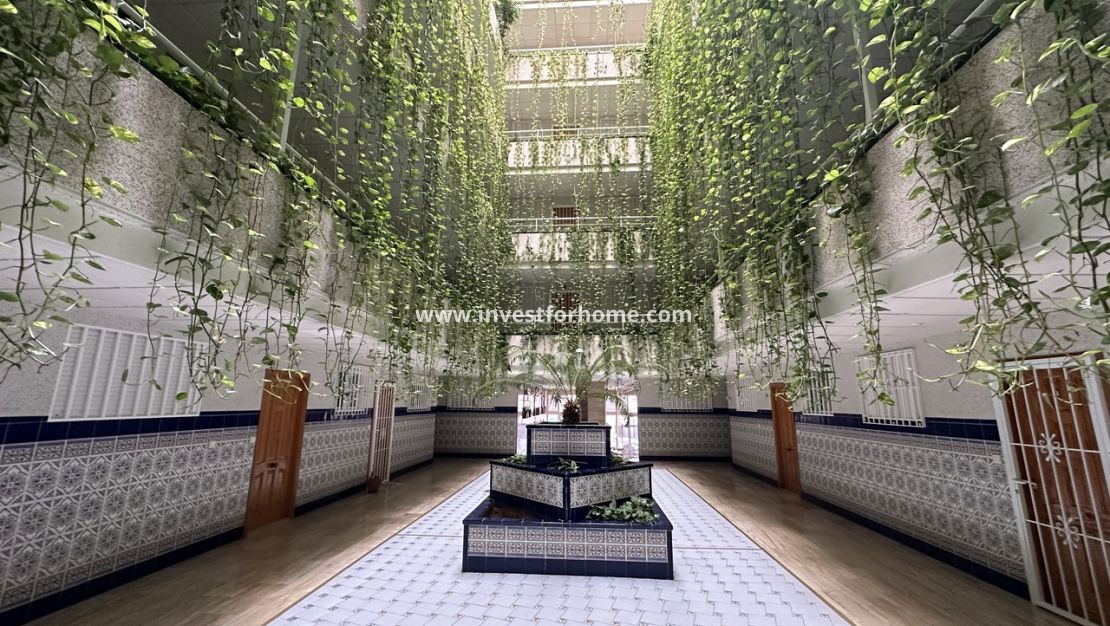 Verkoop - Appartement - Torrevieja - Costa Blanca