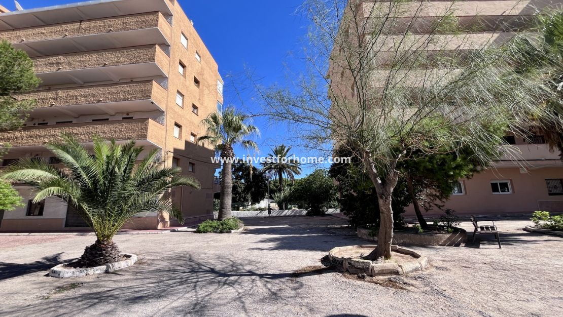 Verkoop - Appartement - Torrevieja - Costa Blanca