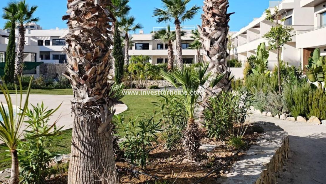 Verkoop - Appartement - Torrevieja - Costa Blanca