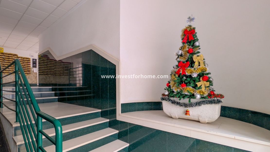 Verkoop - Appartement - Torrevieja - Costa Blanca