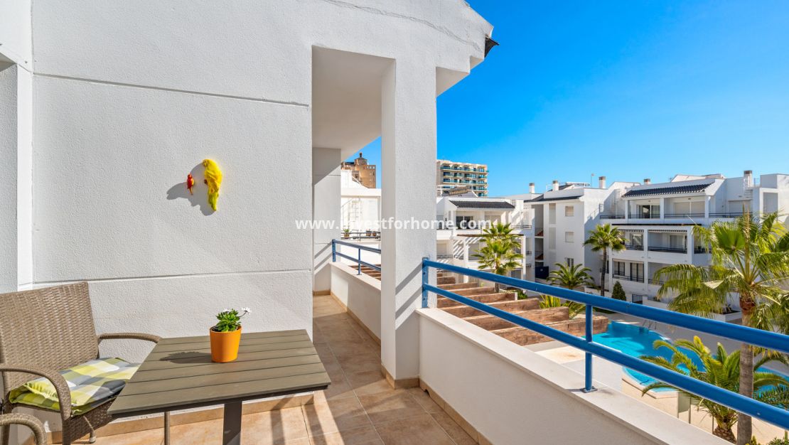 Verkoop - Appartement - Torrevieja - Costa Blanca