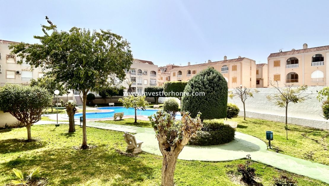 Verkoop - Appartement - Torrevieja - Costa Blanca