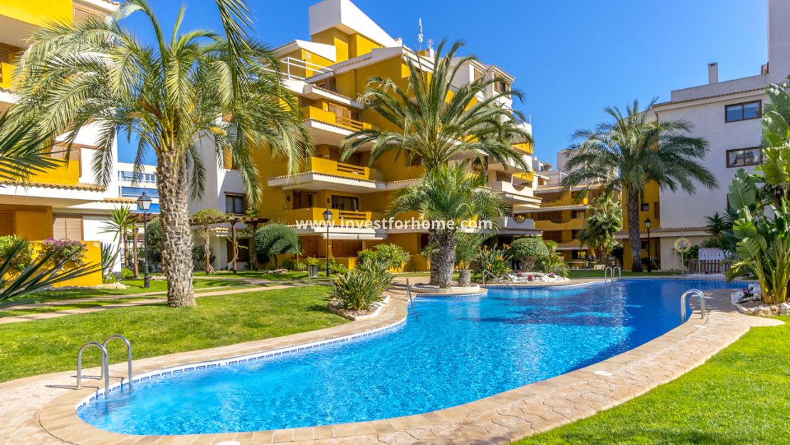 Verkoop - Appartement - Torrevieja - Costa Blanca