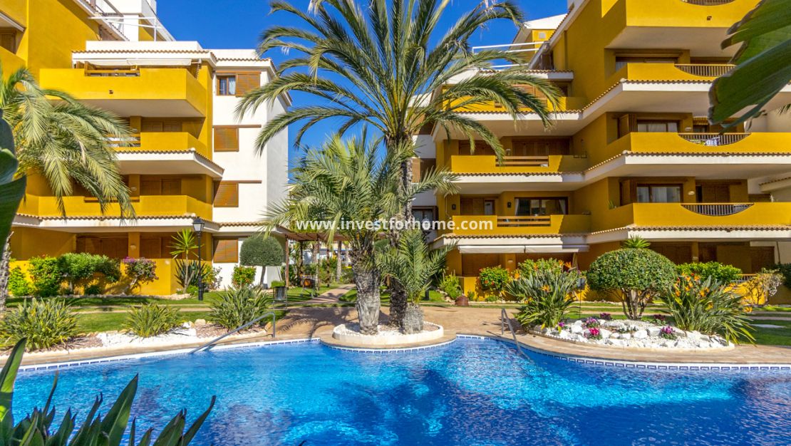 Verkoop - Appartement - Torrevieja - Costa Blanca