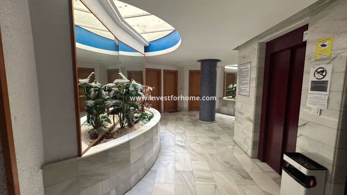 Verkoop - Appartement - Torrevieja - Costa Blanca