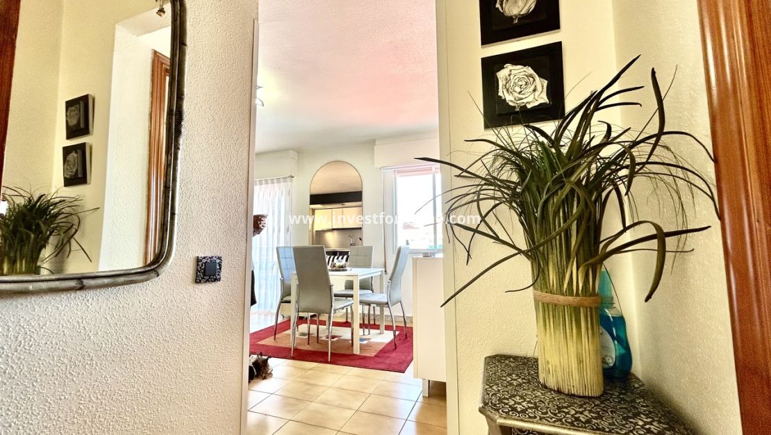 Verkoop - Appartement - Torrevieja - Costa Blanca