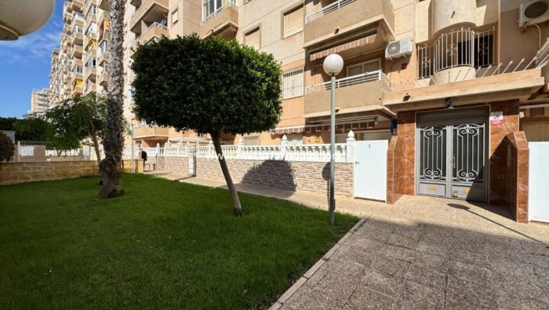 Verkoop - Appartement - Torrevieja - Costa Blanca