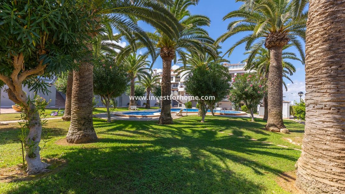 Verkoop - Appartement - Torrevieja - Costa Blanca