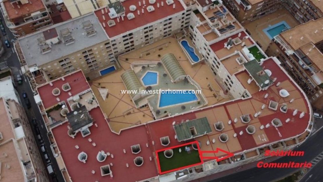 Verkoop - Appartement - Torrevieja - Costa Blanca