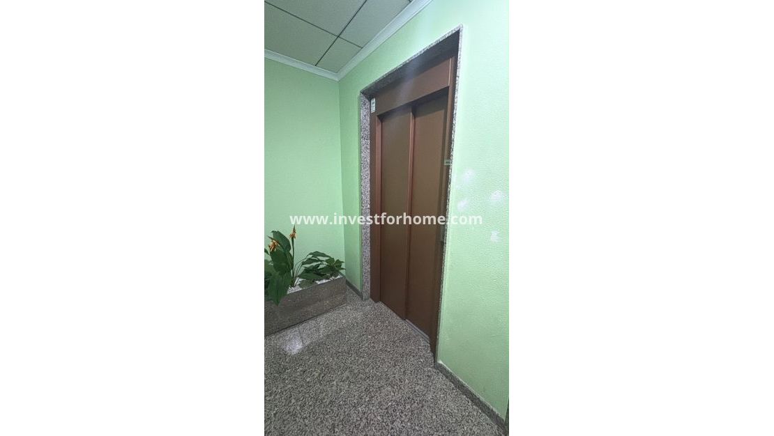 Verkoop - Appartement - Torrevieja - Costa Blanca