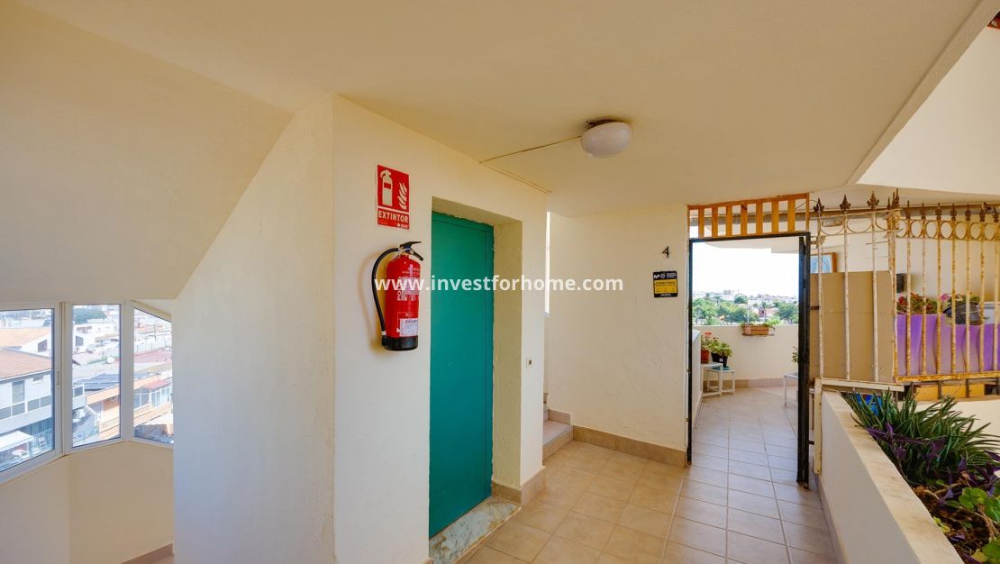 Verkoop - Appartement - Torrevieja - Costa Blanca