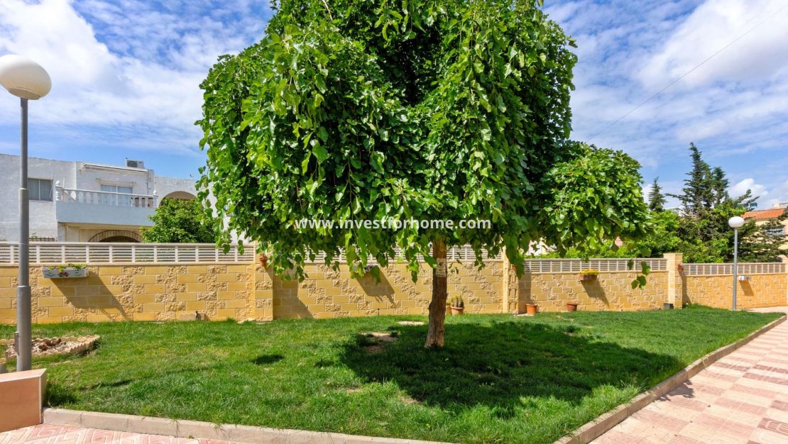 Verkoop - Appartement - Torrevieja - El Chaparral