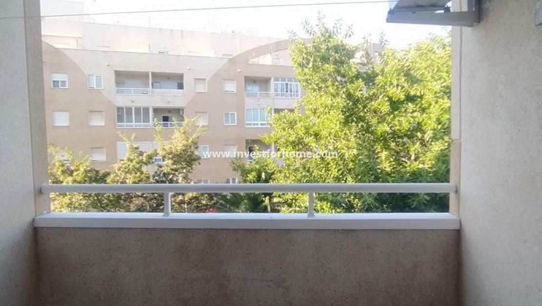 Verkoop - Appartement - Torrevieja - El Molino