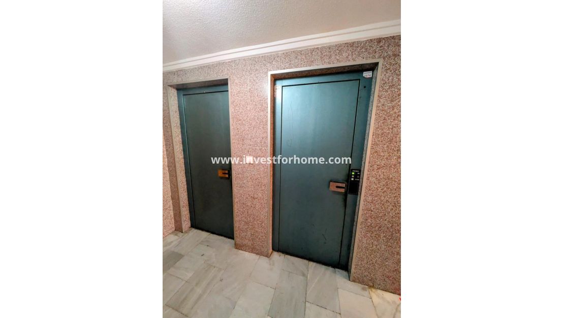 Verkoop - Appartement - Torrevieja - Estacion De Autobuses