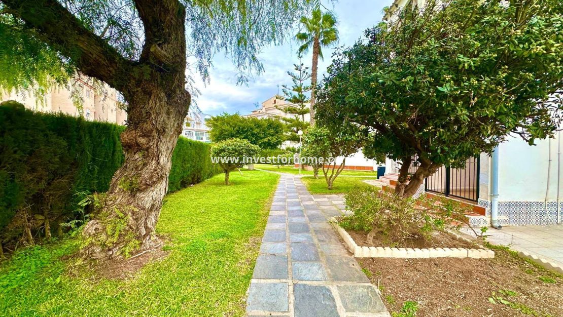 Verkoop - Appartement - Torrevieja - Estacion De Autobuses