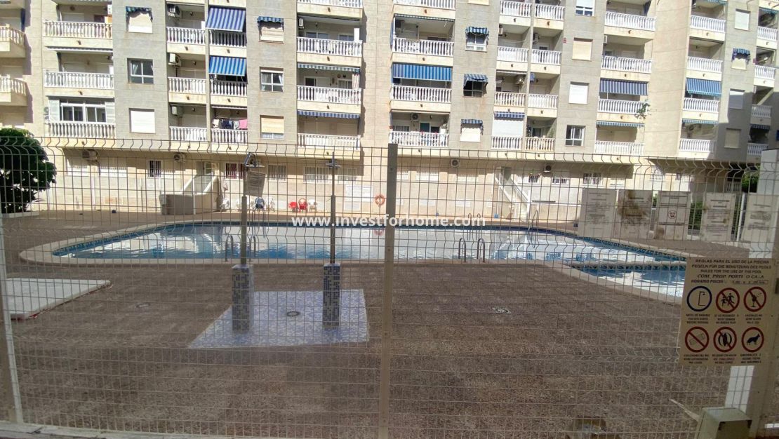 Verkoop - Appartement - Torrevieja - Estacion De Autobuses