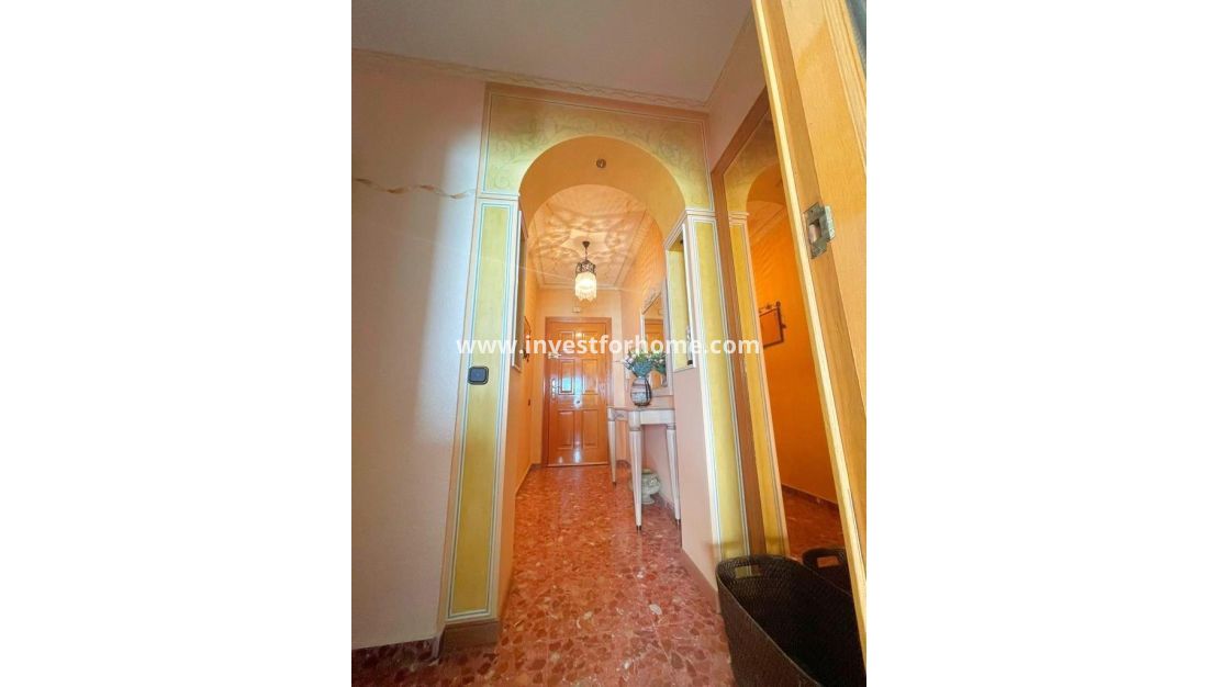 Verkoop - Appartement - Torrevieja - Estacion De Autobuses