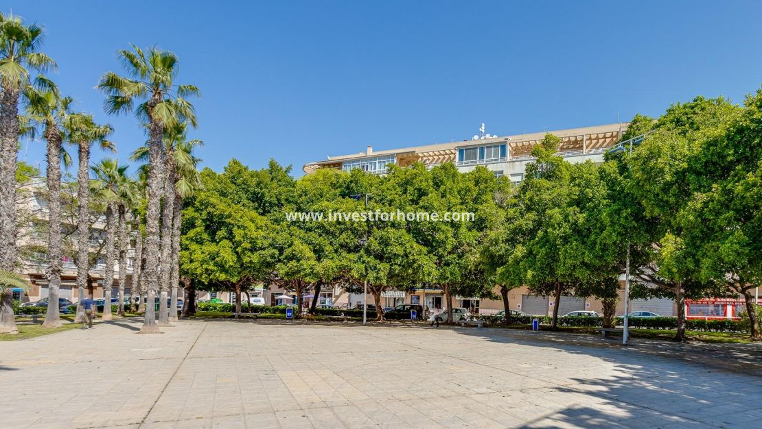 Verkoop - Appartement - Torrevieja - Estacion De Autobuses