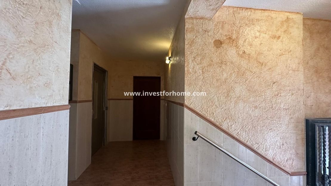 Verkoop - Appartement - Torrevieja - Estacion De Autobuses
