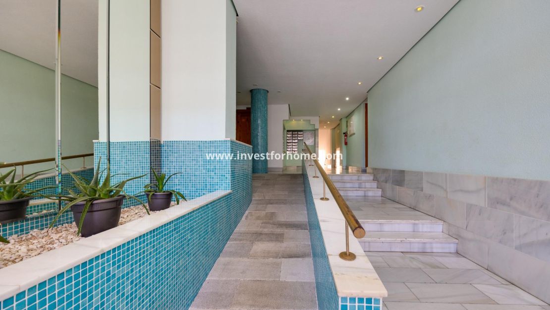 Verkoop - Appartement - Torrevieja - Estacion De Autobuses