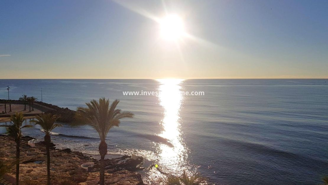 Verkoop - Appartement - Torrevieja - Estacion De Autobuses