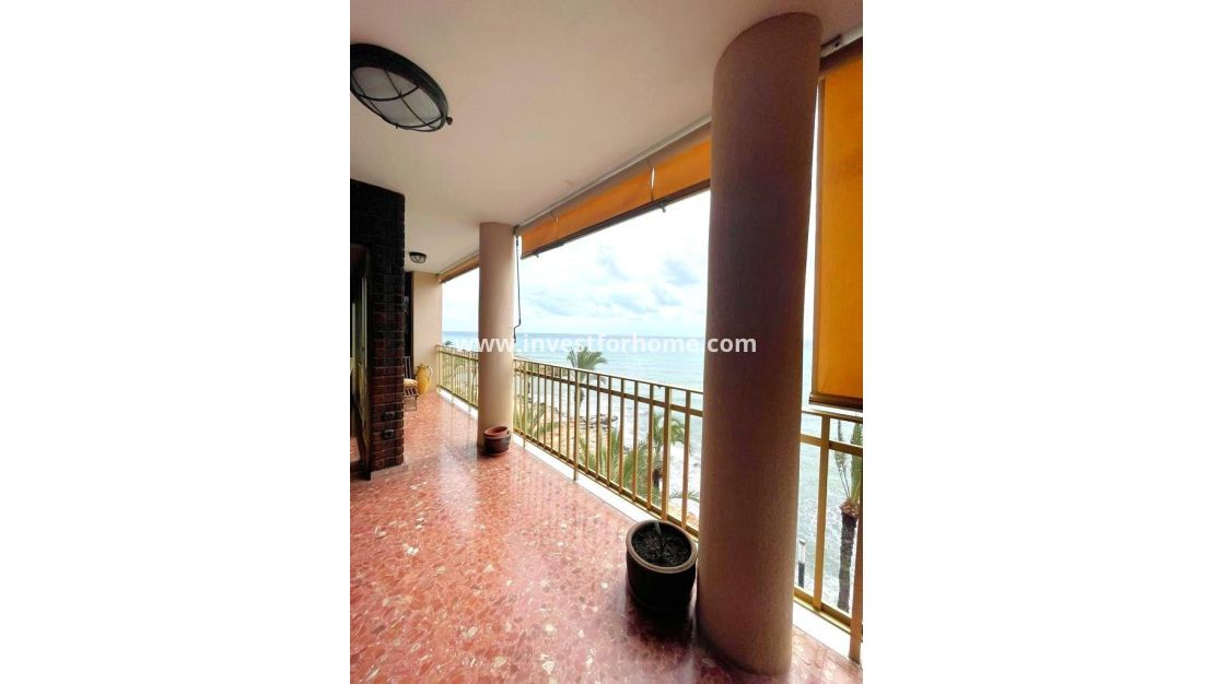 Verkoop - Appartement - Torrevieja - Estacion De Autobuses