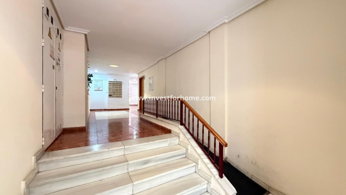 Verkoop - Appartement - Torrevieja - Estacion De Autobuses